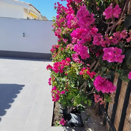 Espacioso 2 En Apartment